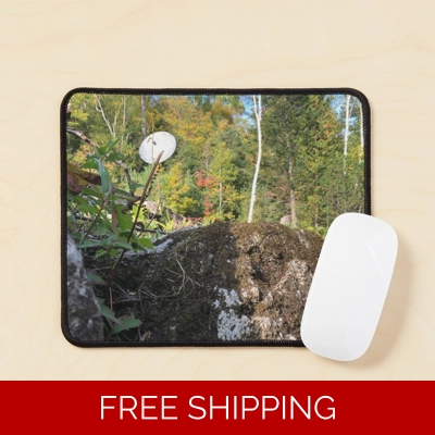 Le Studio Mouse Pad Satellite Dish 2019